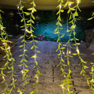 Der Eingang zum Traumland